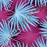 Colour:F