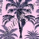 Colour:F