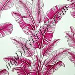 Colour:C