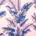 Colour:J