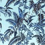 Colour:F