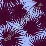 Colour:B