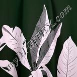 Colour:B