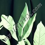 Colour:K
