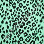 Colour:C