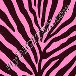 Colour:B