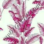 Colour:C
