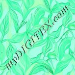 Colour:C