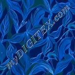 Colour:F