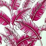 Colour:C