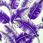 Colour:D
