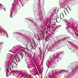 Colour:C