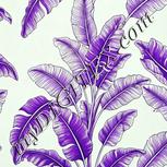 Colour:D