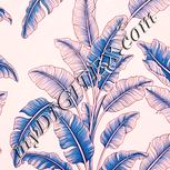 Colour:J