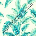 Colour:K