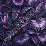 Colour:B