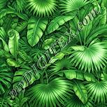 Colour:K