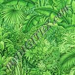 Colour:K