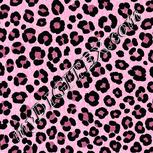 Colour:B