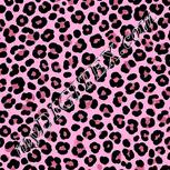 Colour:B