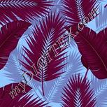 Colour:B