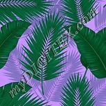 Colour:C