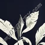 Colour:A