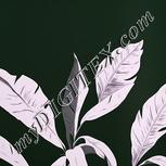 Colour:B