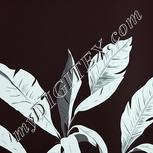 Colour:C