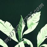 Colour:K