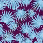 Colour:F