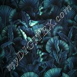Colour:C