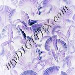 Colour:F