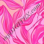 Colour:B