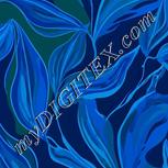 Colour:F