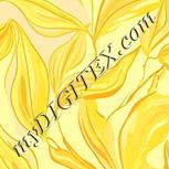 Colour:K
