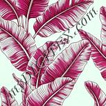 Colour:C