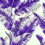 Colour:D