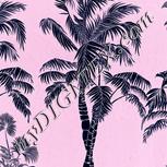 Colour:F