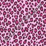 Colour:B