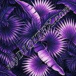 Colour:B