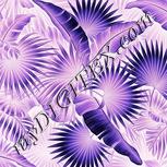 Colour:F