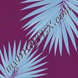 Colour:F