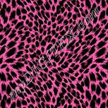 Colour:B