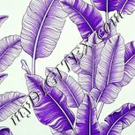 Colour:D