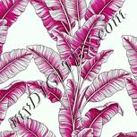 Colour:C
