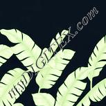 Colour:K
