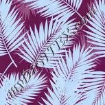Colour:F