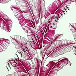Colour:C