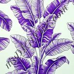 Colour:D